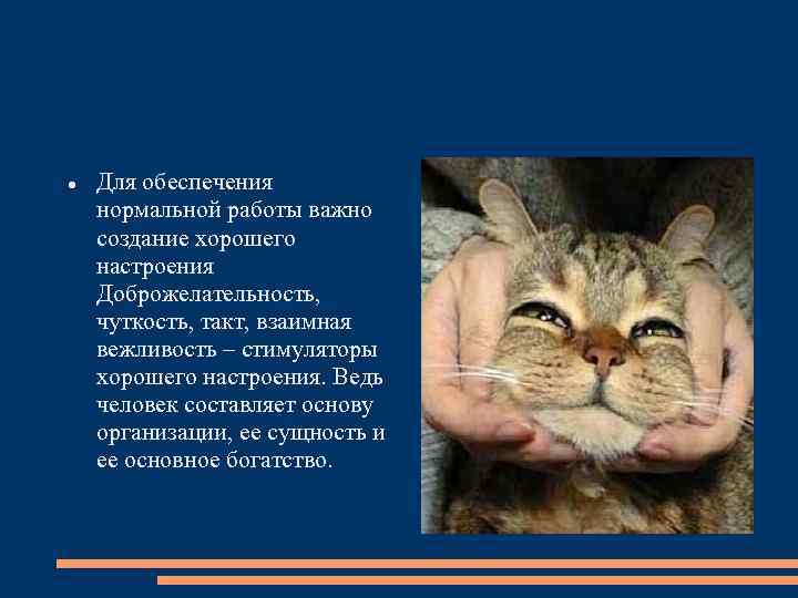  Для обеспечения нормальной работы важно создание хорошего настроения Доброжелательность, чуткость, такт, взаимная вежливость