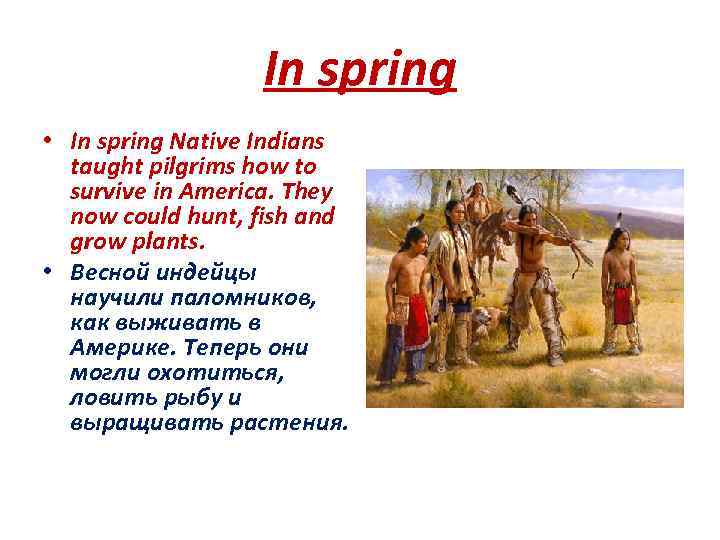 In spring • In spring Native Indians taught pilgrims how to survive in America.