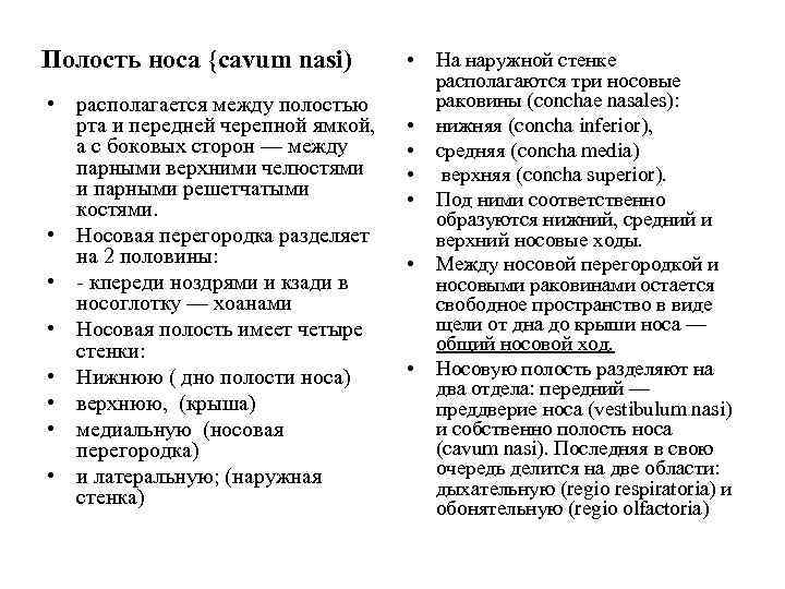 Полость носа {cavum nasi) • располагается между полостью рта и передней черепной ямкой, а