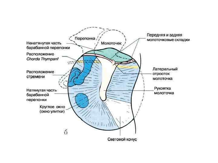 План сестринских вмешательств при инфаркте миокарда