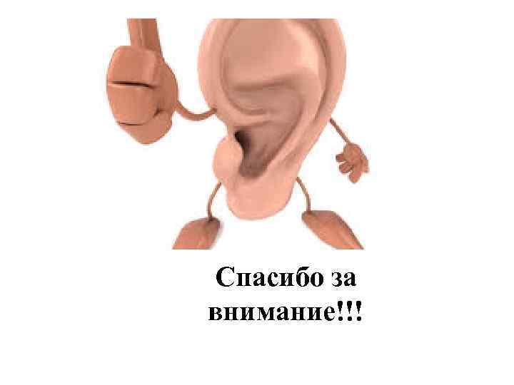 Спасибо за внимание!!! 