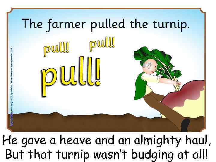 He gave a heave and an almighty haul, But that turnip wasn’t budging at