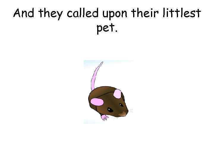 And they called upon their littlest pet. 