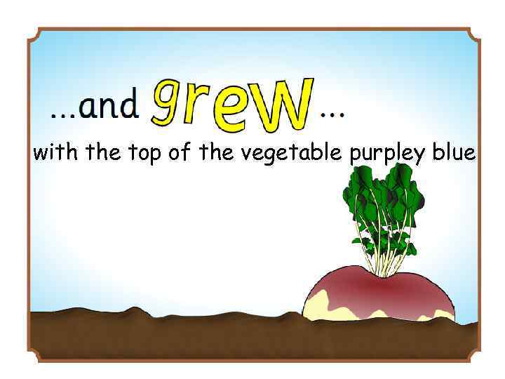 with the top of the vegetable purpley blue 