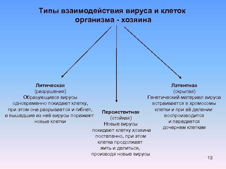Типы взаимодействия вируса и клеток организма - хозяина Литическая (разрушения) Образующиеся вирусы одновременно покидают
