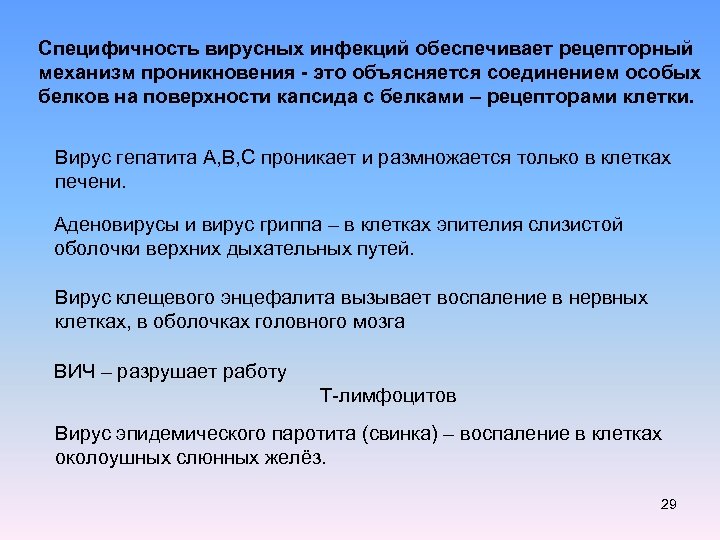 Специфичность вирусных инфекций обеспечивает рецепторный механизм проникновения - это объясняется соединением особых белков на