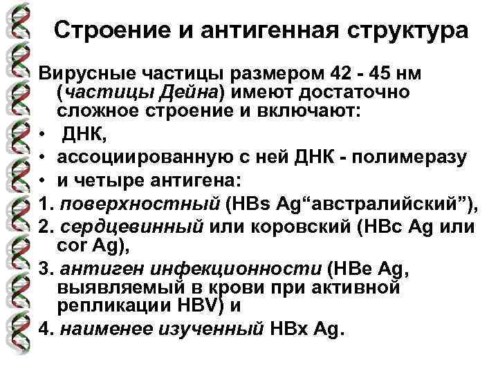 Строение и антигенная структура Вирусные частицы размером 42 - 45 нм (частицы Дейна) имеют