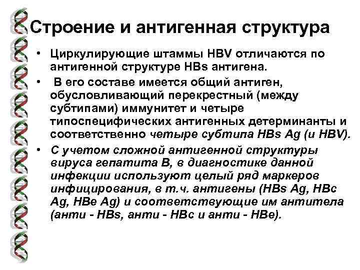 Строение и антигенная структура • Циркулирующие штаммы HBV отличаются по антигенной структуре HBs антигена.