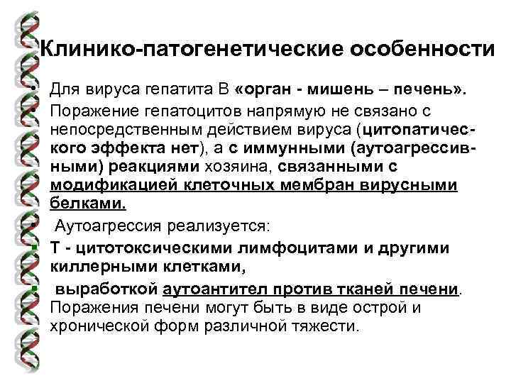 Клинико-патогенетические особенности • Для вируса гепатита В «орган - мишень – печень» . •