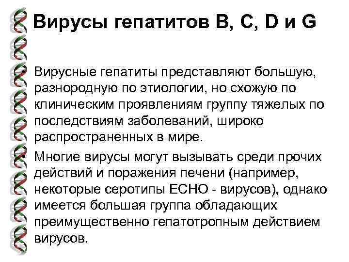 Вирусы гепатитов В, С, D и G • Вирусные гепатиты представляют большую, разнородную по