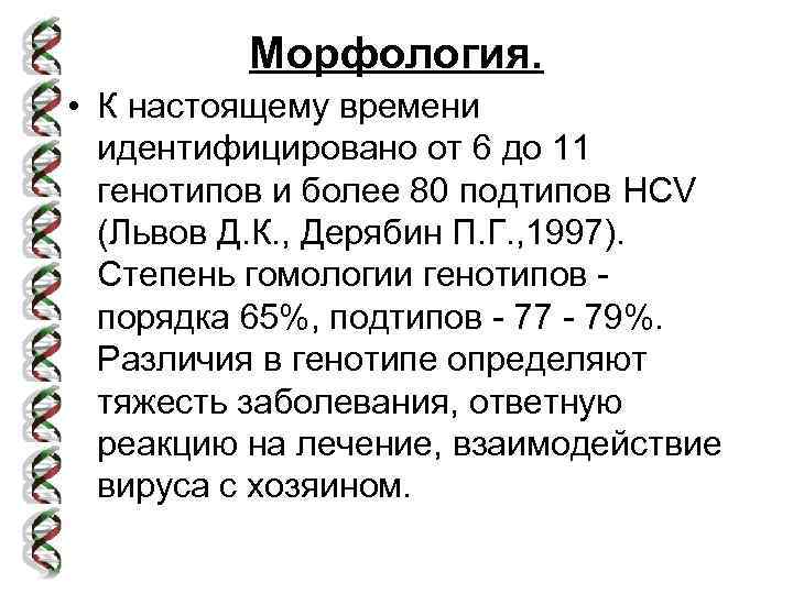 Морфология. • К настоящему времени идентифицировано от 6 до 11 генотипов и более 80