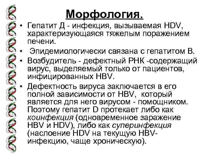 Морфология. • Гепатит Д - инфекция, вызываемая HDV, характеризующаяся тяжелым поражением печени. • Эпидемиологически