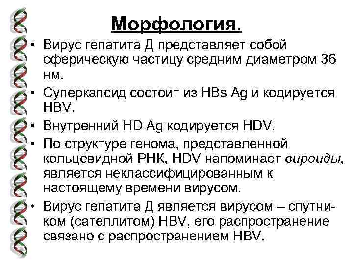 Морфология. • Вирус гепатита Д представляет собой сферическую частицу средним диаметром 36 нм. •
