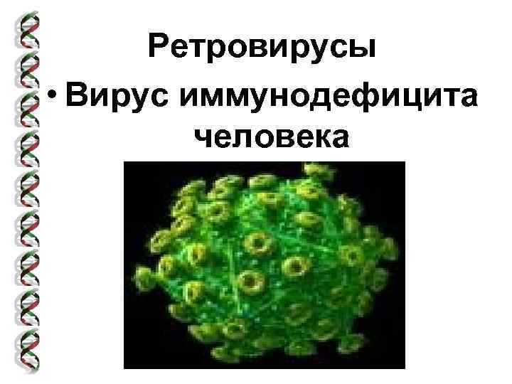 Ретровирусы • Вирус иммунодефицита человека 