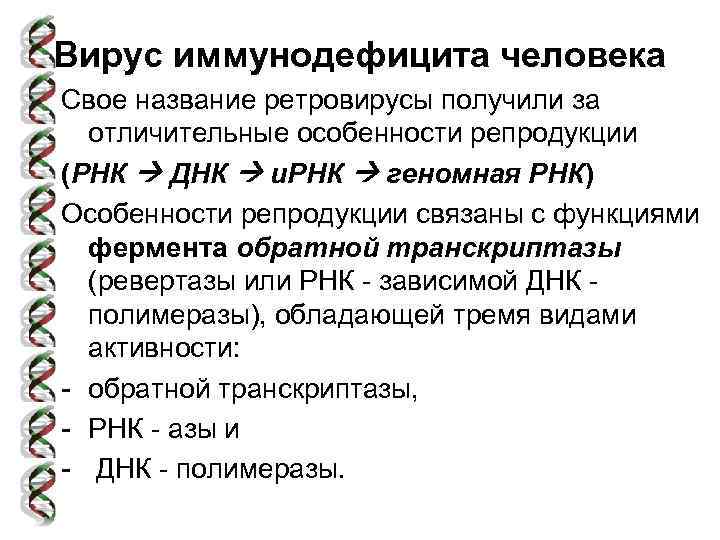 Вирус иммунодефицита человека Свое название ретровирусы получили за отличительные особенности репродукции (РНК ДНК и.