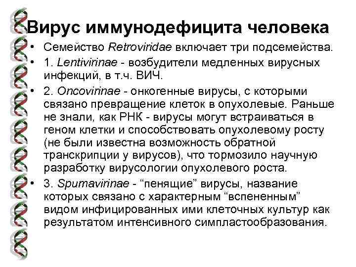 Вирус иммунодефицита человека • Семейство Retroviridae включает три подсемейства. • 1. Lentivirinae - возбудители