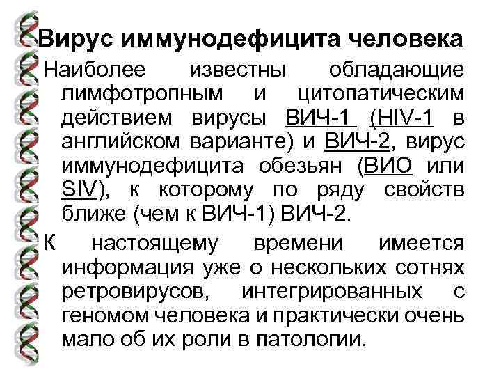 Вирус иммунодефицита человека Наиболее известны обладающие лимфотропным и цитопатическим действием вирусы ВИЧ-1 (HIV-1 в