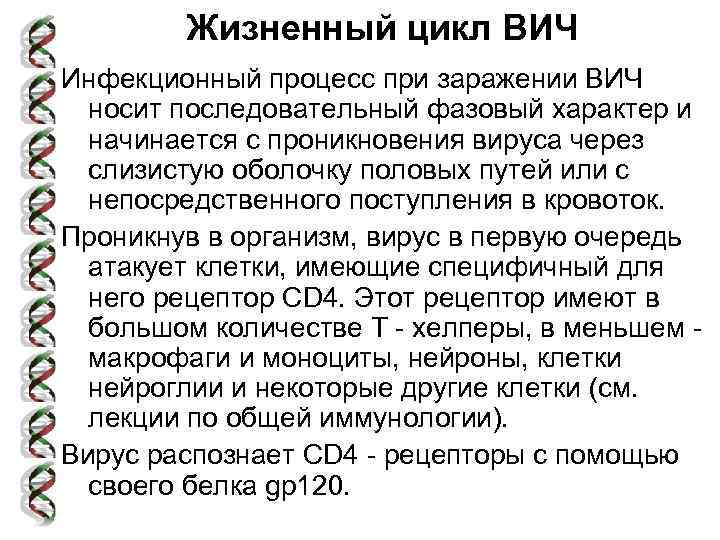 Жизненный цикл ВИЧ Инфекционный процесс при заражении ВИЧ носит последовательный фазовый характер и начинается