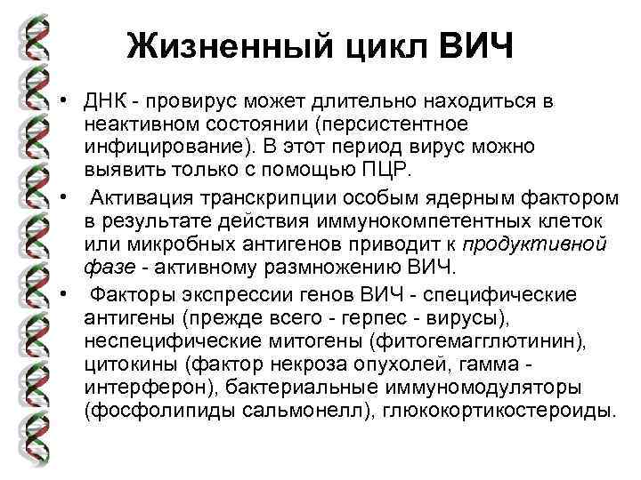 Жизненный цикл ВИЧ • ДНК - провирус может длительно находиться в неактивном состоянии (персистентное