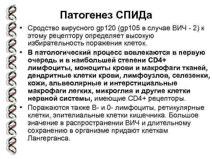 Патогенез СПИДа • Сродство вирусного gp 120 (gp 105 в случае ВИЧ - 2)