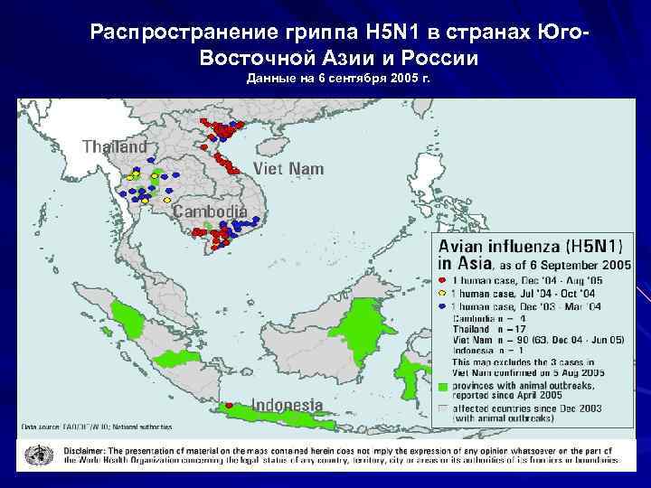Распространение гриппа H 5 N 1 в странах Юго. Восточной Азии и России Данные