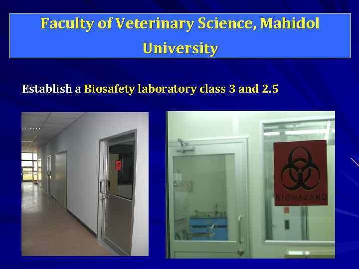 Faculty of Veterinary Science, Mahidol University Establish a Biosafety laboratory class 3 and 2.