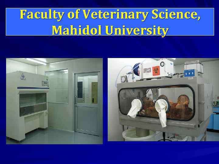Faculty of Veterinary Science, Mahidol University 