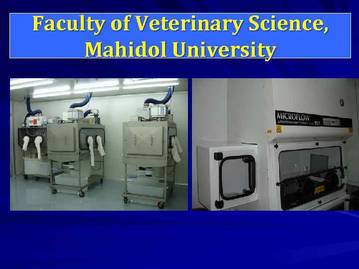 Faculty of Veterinary Science, Mahidol University 