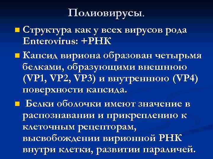 Полиовирусы. n Структура как у всех вирусов рода Enterovirus: +РНК n Капсид вириона образован