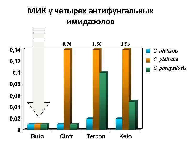 МИК у четырех антифунгальных имидазолов 0. 78 1. 56 C. albicans C. glabrata C.