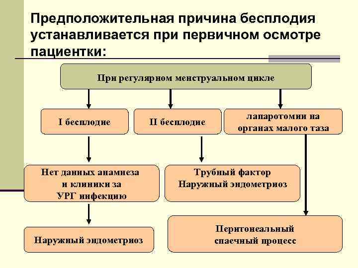 Предположительная причина бесплодия устанавливается при первичном осмотре пациентки: При регулярном менструальном цикле I бесплодие
