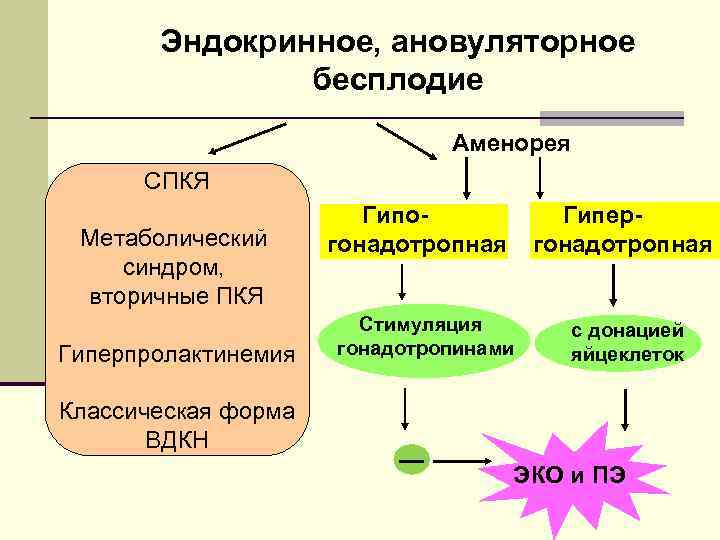 Эндокринное бесплодие Эндокринное, ановуляторное бесплодие Аменорея СПКЯ Метаболический синдром, вторичные ПКЯ Гиперпролактинемия Гипогонадотропная Гипергонадотропная