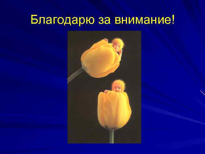 Благодарю за внимание! 