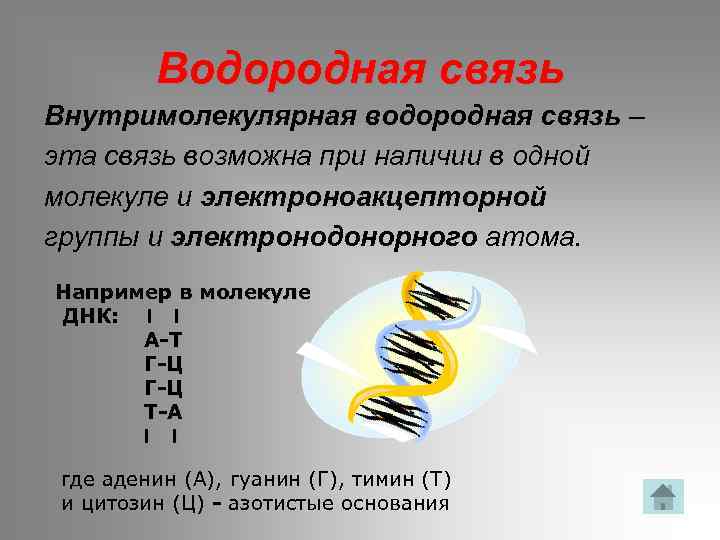 Водородная связь Внутримолекулярная водородная связь – эта связь возможна при наличии в одной молекуле