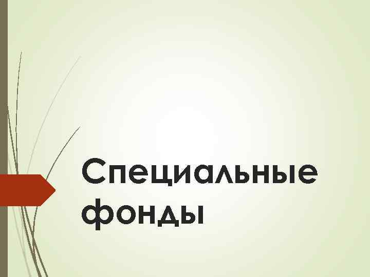 Специальные фонды 