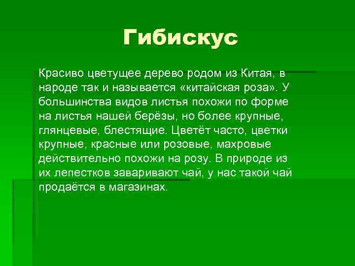 Гибискус Красиво цветущее дерево родом из Китая, в народе так и называется «китайская роза»