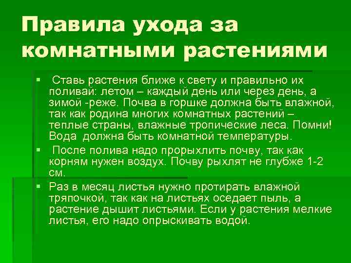 Правила ухода за комнатными растениями § Ставь растения ближе к свету и правильно их