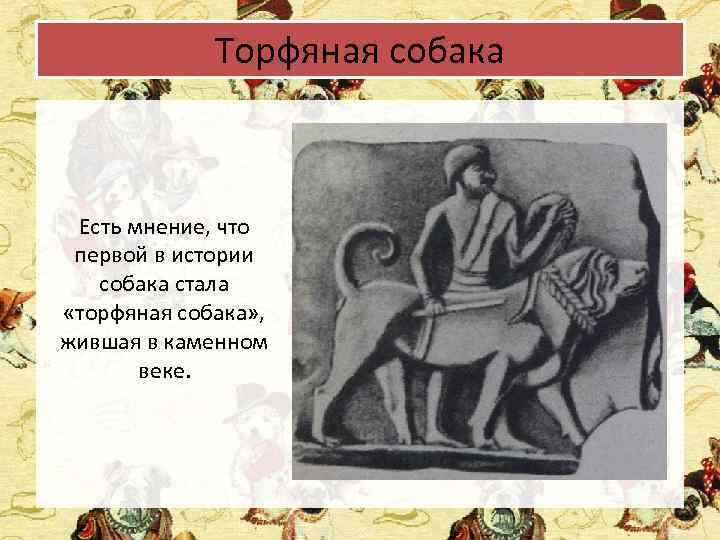 Торфяная собака Есть мнение, что первой в истории собака стала «торфяная собака» , жившая