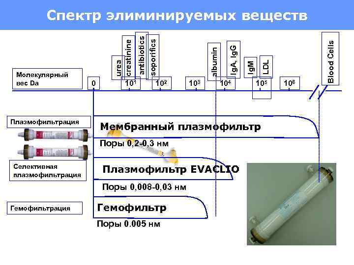 Плазмофильтрация 101 102 104 Плазмофильтр EVACLIO Поры 0, 008 -0, 03 нм Гемофильтрация LDL