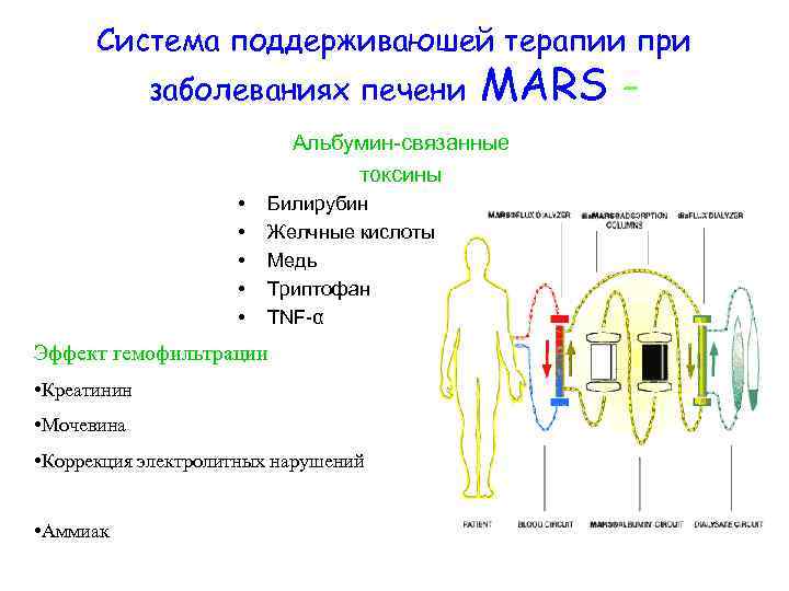 Система поддерживаюшей терапии при заболеваниях печени MARS - Альбумин-связанные токсины • • • Билирубин