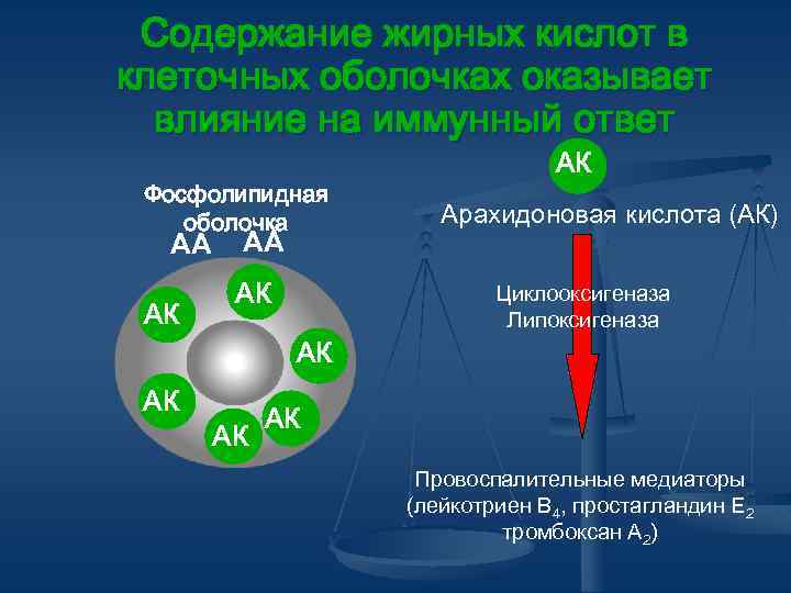 Содержание жирных кислот в клеточных оболочках оказывает влияние на иммунный ответ Фосфолипидная оболочка AA