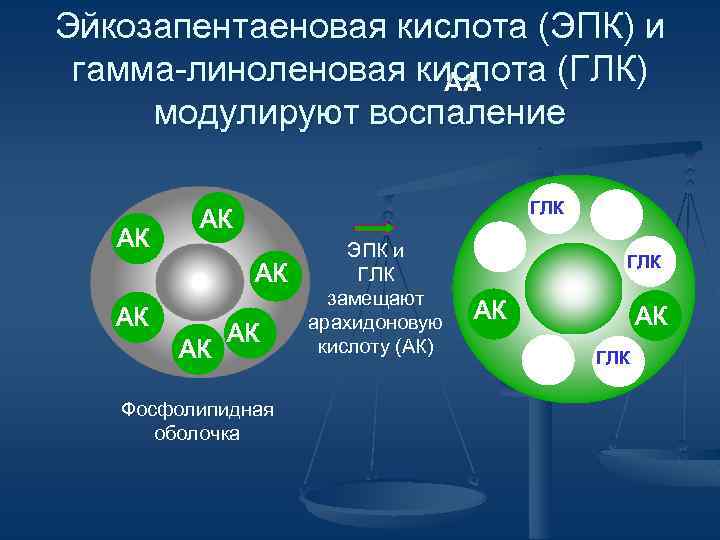 Эйкозапентаеновая кислота (ЭПК) и гамма-линоленовая кислота (ГЛК) AA модулируют воспаление AК ГЛК AК AК