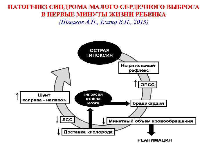 ПАТОГЕНЕЗ СИНДРОМА МАЛОГО СЕРДЕЧНОГО ВЫБРОСА В ПЕРВЫЕ МИНУТЫ ЖИЗНИ РЕБЕНКА (Шмаков А. Н. ,