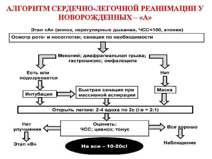 Алгоритм сердечно легочной. Алгоритм проведения сердечно-легочной реанимации младенцам.. СЛР новорожденных алгоритм. Схема этапов базовой СЛР. Протокол реанимации новорожденных 2021.