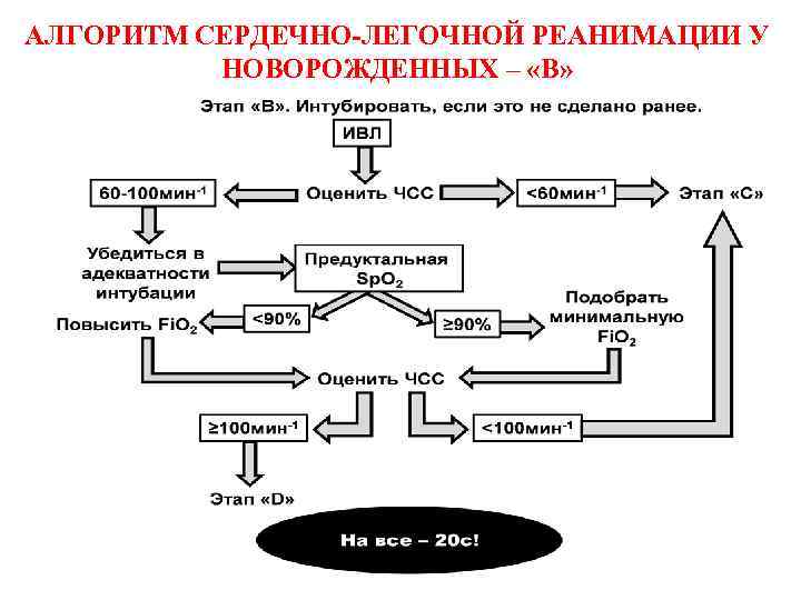 Вкладыш карта реанимации и стабилизации состояния новорожденных детей в родильном зале