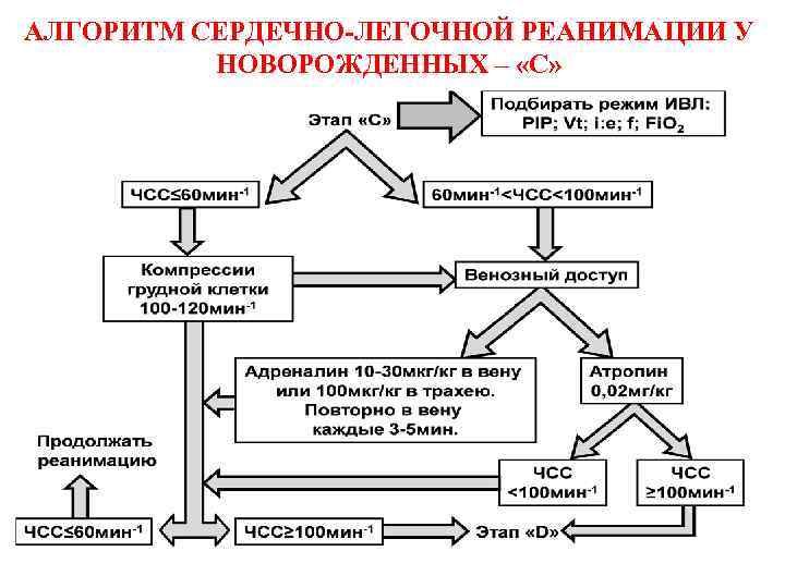 Вкладыш карта реанимации и стабилизации состояния новорожденных детей в родильном зале