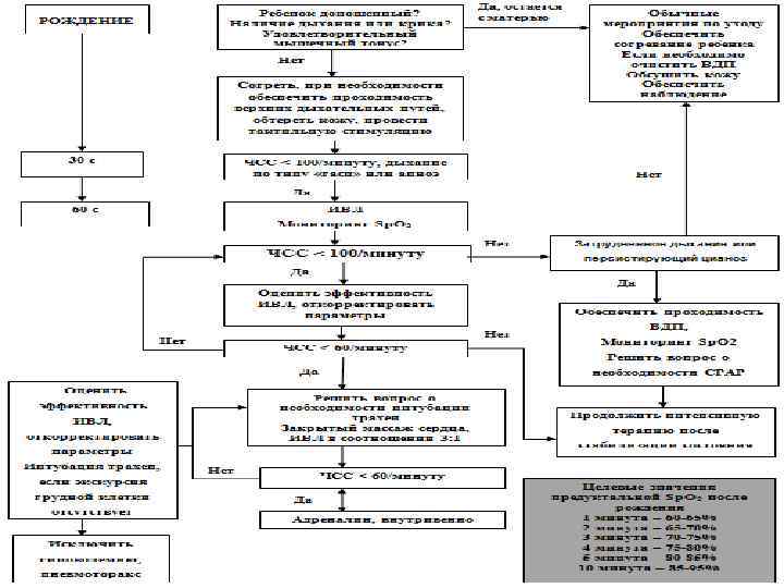 Алгоритм реанимации новорожденных в родильном зале