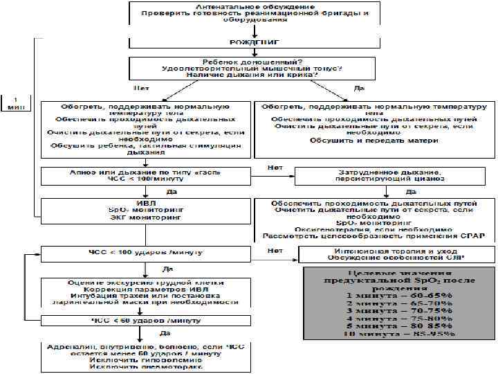Вкладыш карта реанимации и стабилизации состояния новорожденных детей в родильном зале