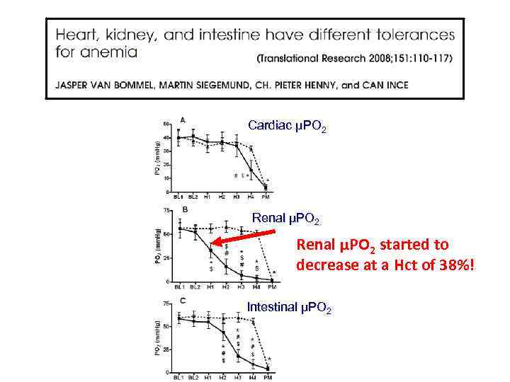 Cardiac µPO 2 Renal µPO 2 started to decrease at a Hct of 38%!