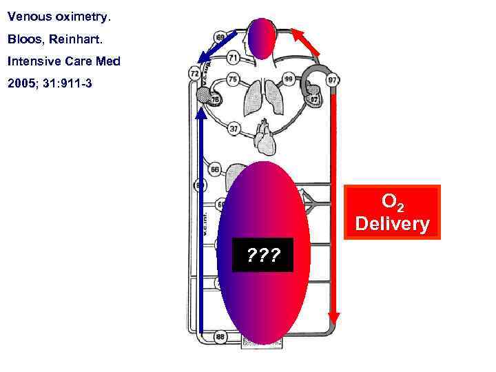 Venous oximetry. Bloos, Reinhart. Intensive Care Med 2005; 31: 911 -3 O 2 Delivery